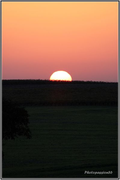 Copie-de-IMG_2254.JPG