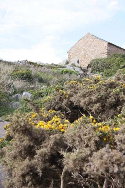 Bretagne-4575.JPG