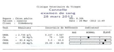CANNELLE-RESULTAT-ANALYSE-SANGUINE-28MARS2012.jpg