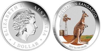 australie 2012 kangourou outback