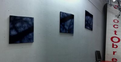 Only Pictures 2 Susan Bottrell