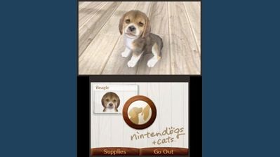 nintendogs-3ds-04c17eb7277917.jpg