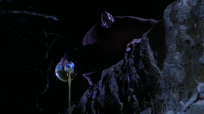vlcsnap-2013-09-11-22h39m27s228.png