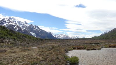 Fitz Roy (18)