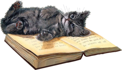 chaton-sur-livre.png