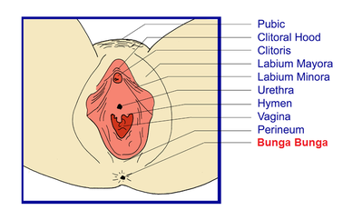 800px-VaginalOpening-copia-1.png
