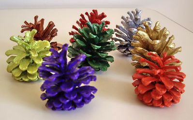 POMMES DE PIN EN COULEURS