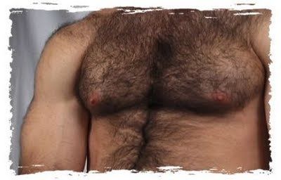 _torse_poilu_m.jpg
