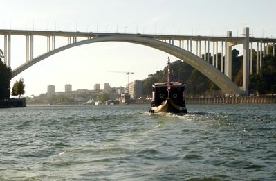 Pont dArabida