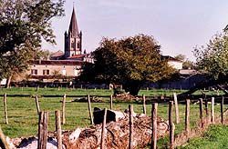 Gensac_la_pallue_eglise.jpg