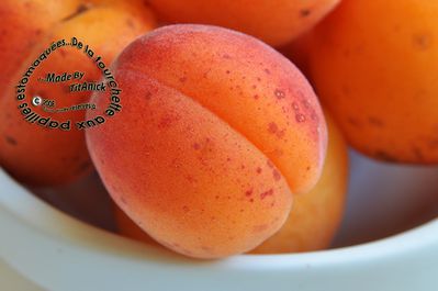 L'Abricot SUR FRUIT : eau de vie et compotée de fruit !