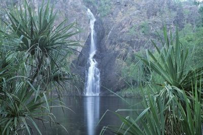 cascade-wangi-falls-234698