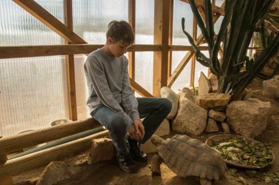 tortue sillonée (espace zoologique de St martin la plaine)