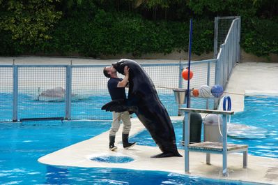 beauval-09--245-