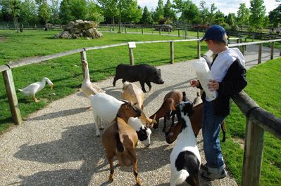 beauval-09--292-
