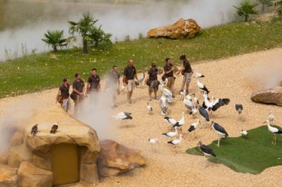 les maîtres de l'air (zoo parc de Beauval)