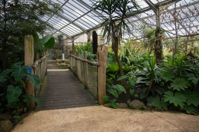 serre tropicale