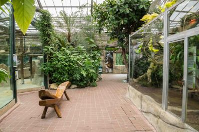 vivarium.jpg