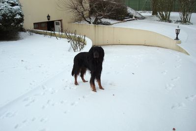 urko neige