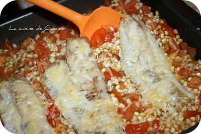 gratin-colin.jpg