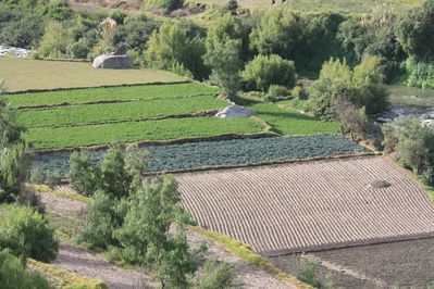 Arequipa Juin2010 143