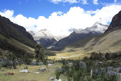 Huaraz Cordillere Blanche Mai2010 287