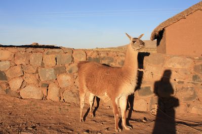 Puno Juin2010 279