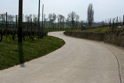 34e-aubonne-signaldebougy-17avril2010 0036