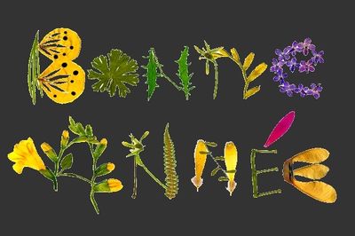 bonne-annee-herbier