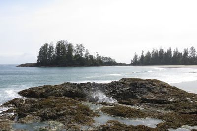 130. Long Beach