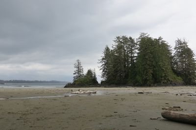 131. Long Beach