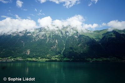 Iseltwald-2014--27-.JPG