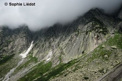 Route-de-Grimselpass-2014--19-.JPG