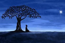 La-sagesse-n-est-pas--01-.png