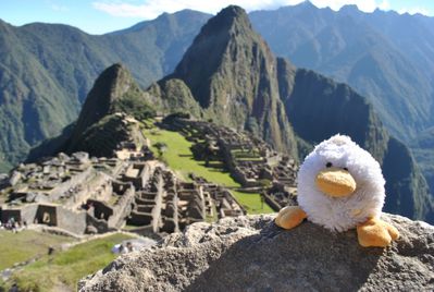 Photo 04,06 - 35 - Machu Picchu