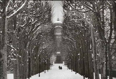 Philippe-Gautrand--Jardin-des-Plantes--1987.jpg