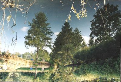 reflet des arbres,juin 2005,haberer clarisse,67