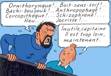 insultes-du-capitaine-h.gif