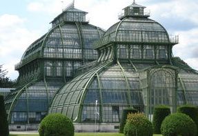 Palmen-haus.jpg