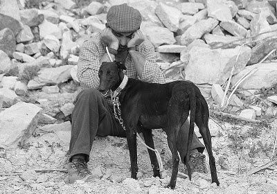 galgo2.jpg