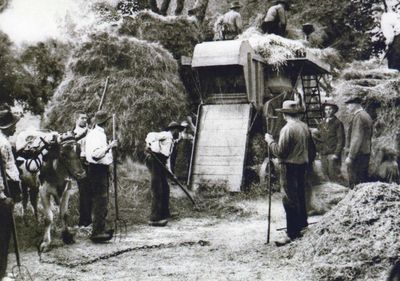 image180