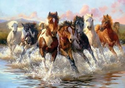 animal-cheval-galop456.jpg