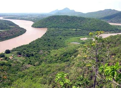 Amazonia.jpg