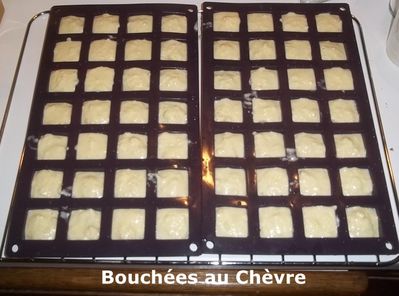 bouchees chevre 3