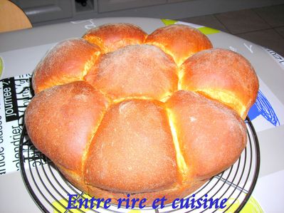 DSCN8649.JPG