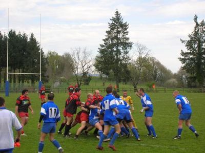 rugby dans les arbres