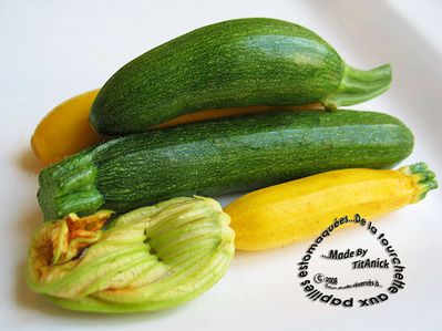 Courgettes petites