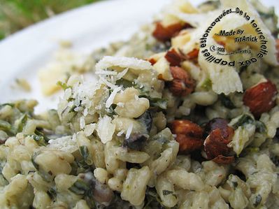 risotto-chenopodes-champignons-noisettes-parmesan-logo.jpg
