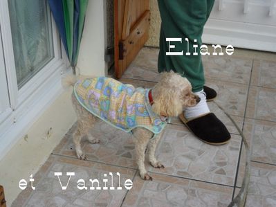 Manteau-chien-Eliane-Mamigoz.JPG