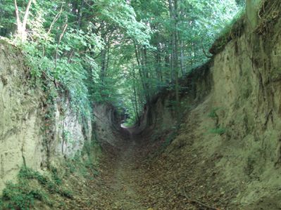 2011-08-23---kaiserstuhl---542.JPG